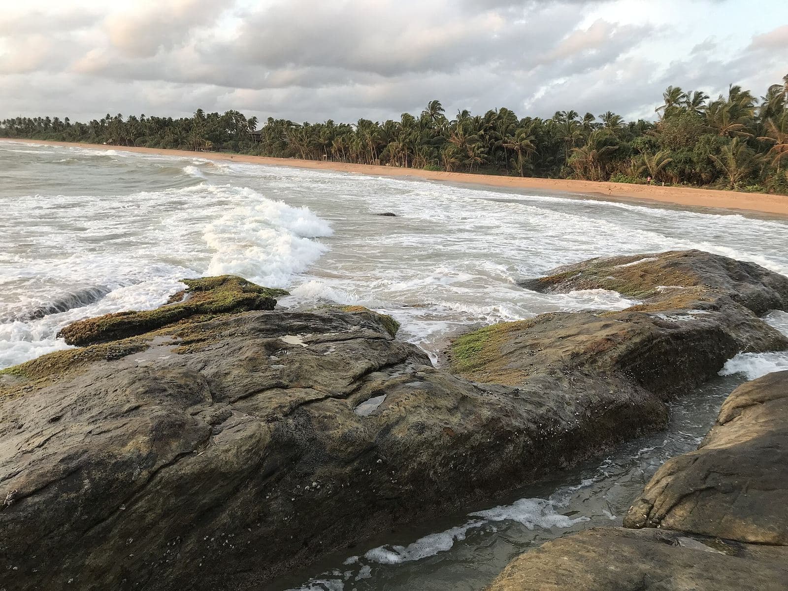 Palm-lined beach at Bentota on Sri Lanka's west coast